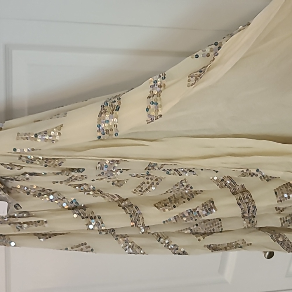 Jen's Pirate Booty Cream Maxi Skirt with Silver Sequin Embellishment - Picture 3 of 6